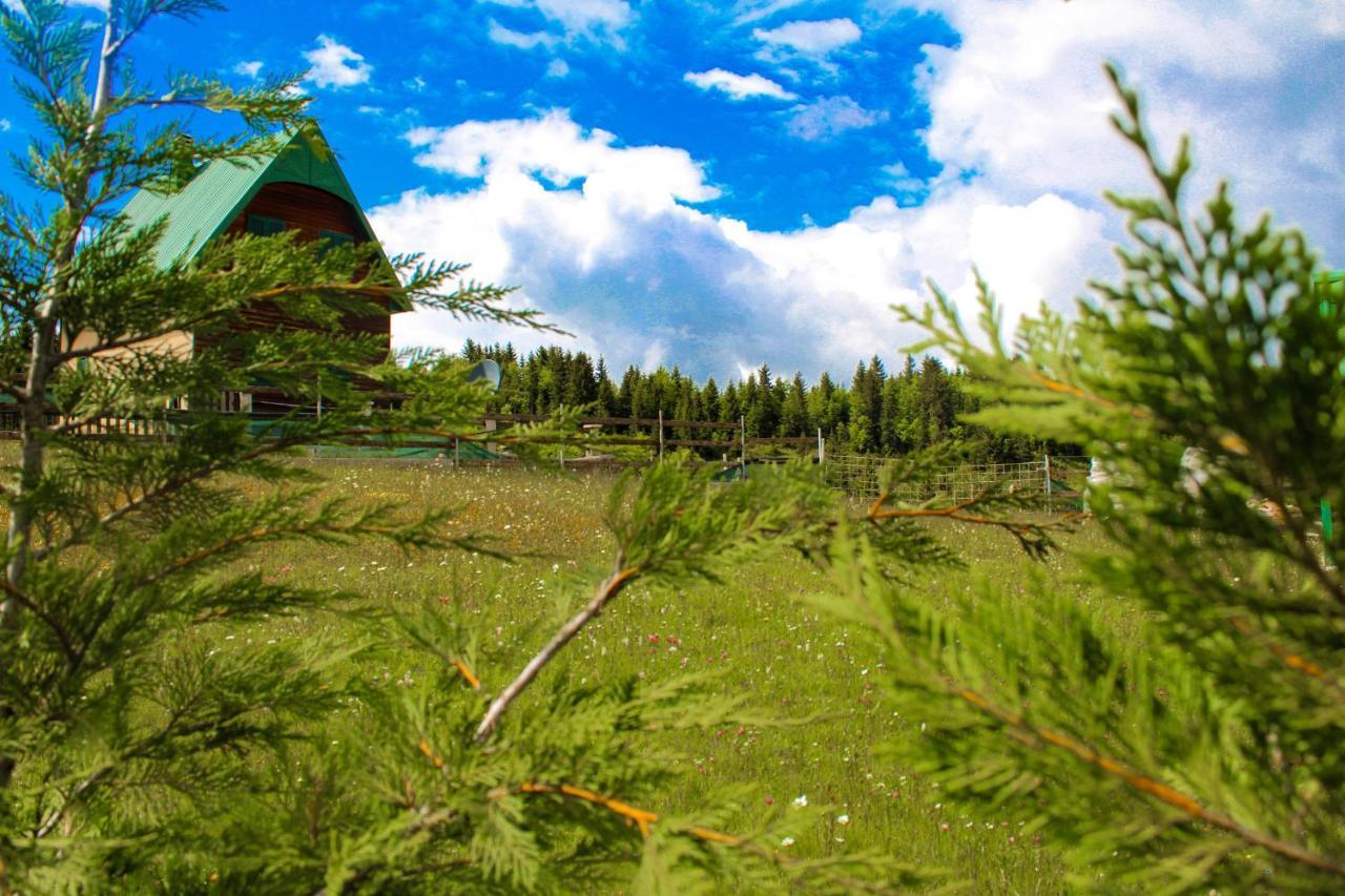 Vikendica Anja Villa ชาเบลียค ภายนอก รูปภาพ
