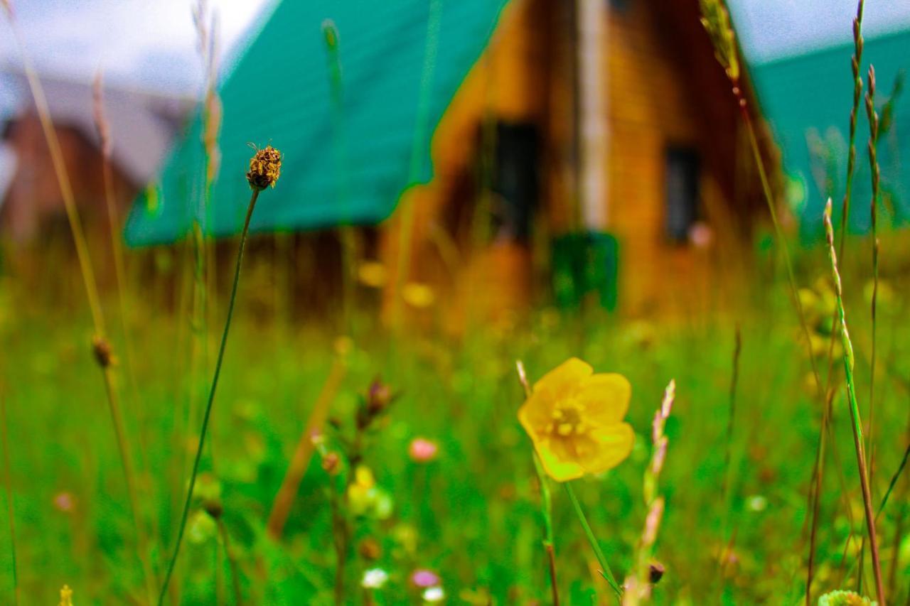 Vikendica Anja Villa ชาเบลียค ภายนอก รูปภาพ